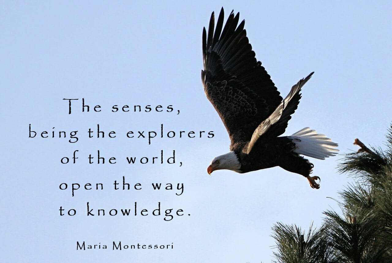 The Essence of Learning by Maria Montessori